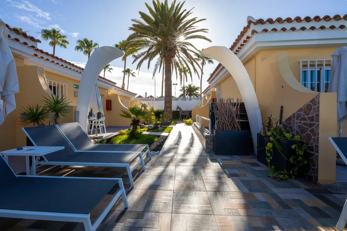 Club Torso Privacidad